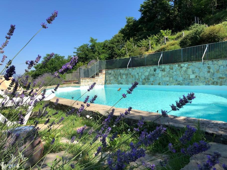 Podere Beatrice 20 Pax By Villasretreats Bardine di San Terenzo Kültér fotó